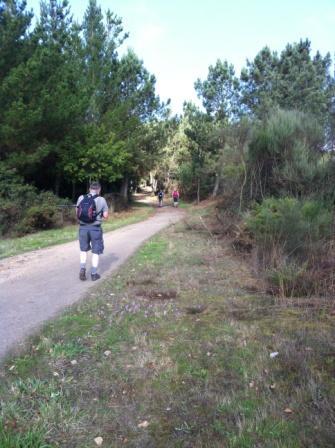 Hands Up if You Have a New Year's Resolution to Walk More!