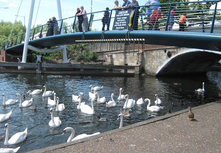 Trains, Boats and Buses