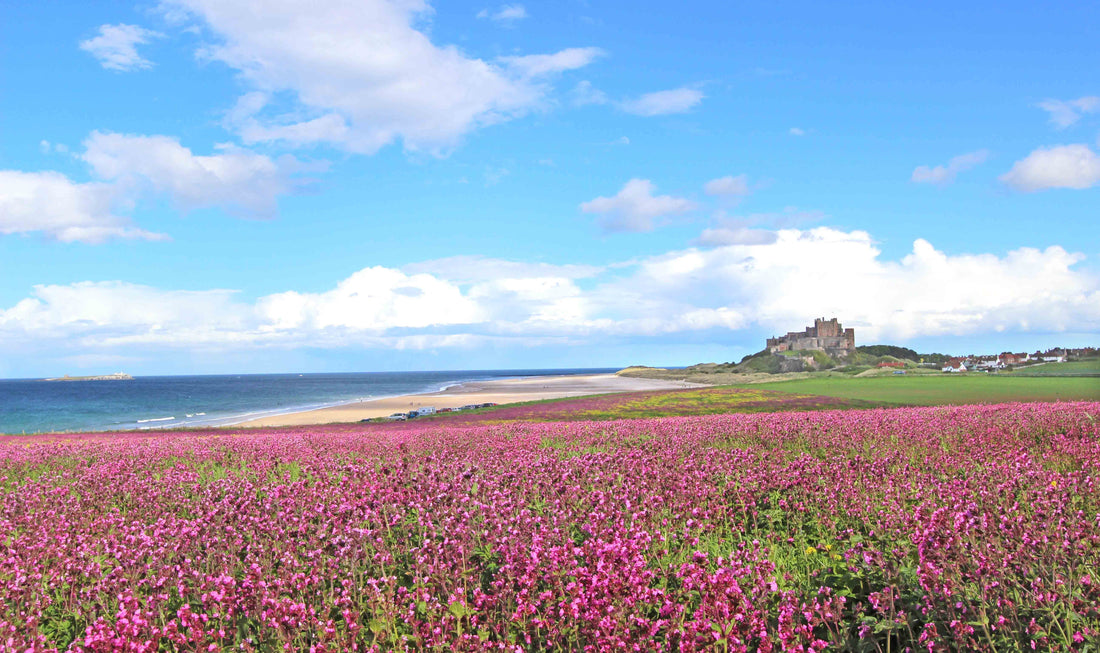 3 Action-Packed Things to do in Northumberland