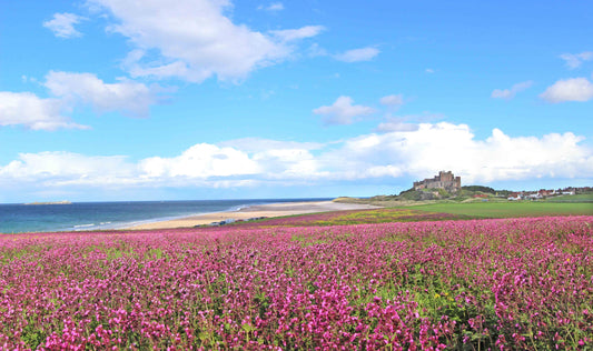 3 Action-Packed Things to do in Northumberland