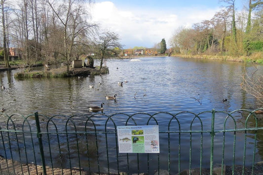 A Day Out in the Park