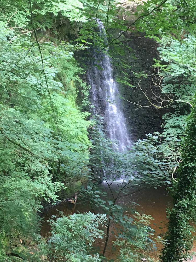 Enjoy the North Yorkshire Moors National Park