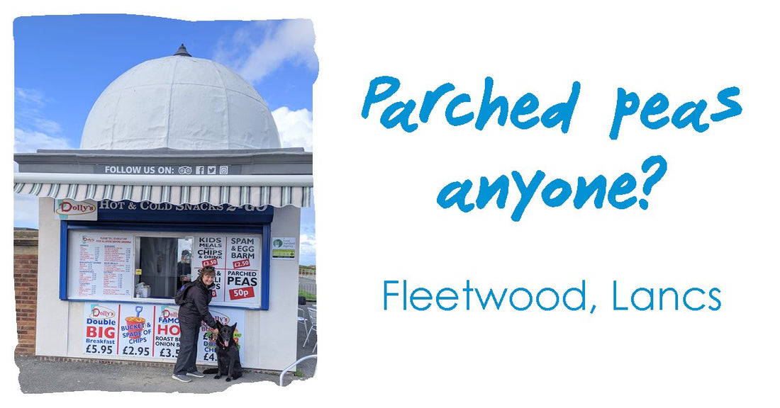 Your Entertaining Events, Eats and Traditions