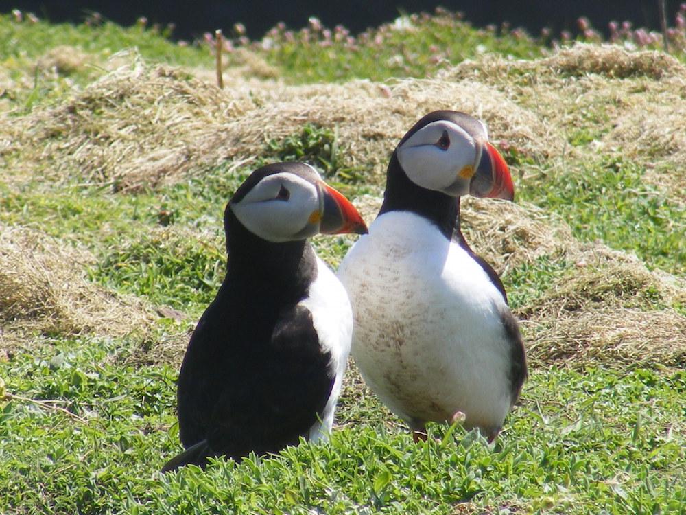 Sleep, Eat and Play in Pembrokeshire