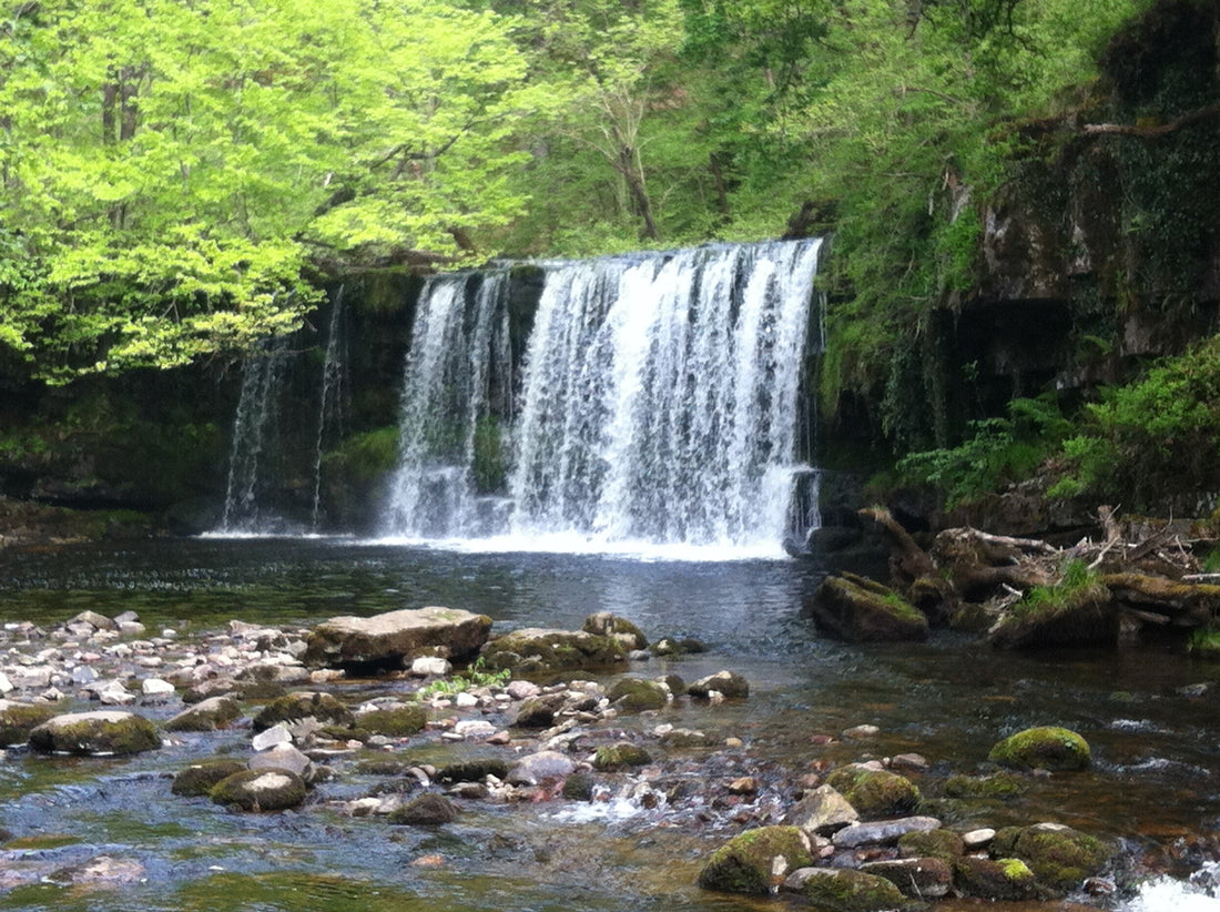 Wild Wonderful Day in Waterfall Country