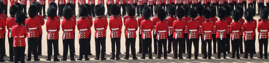 Royalty Themed Ideas and Activities for the Whole Family!