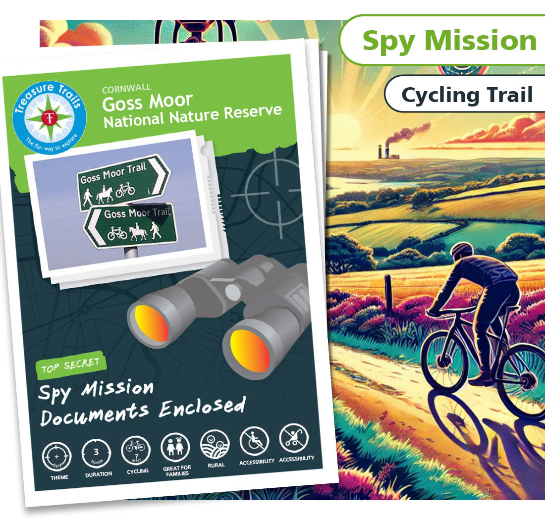 Treasure Hunt in Goss Moor - Solve Clues & Explore