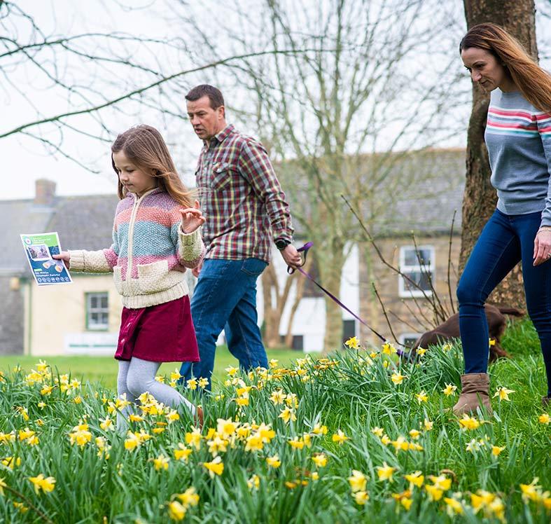 Solve Puzzles & Discover Newcastle Emlyn's Hidden Gems