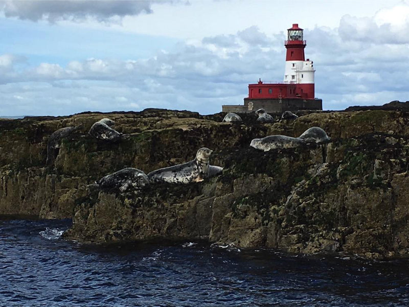 Top Three Things to do on the Northumberland Coast When it's Raining