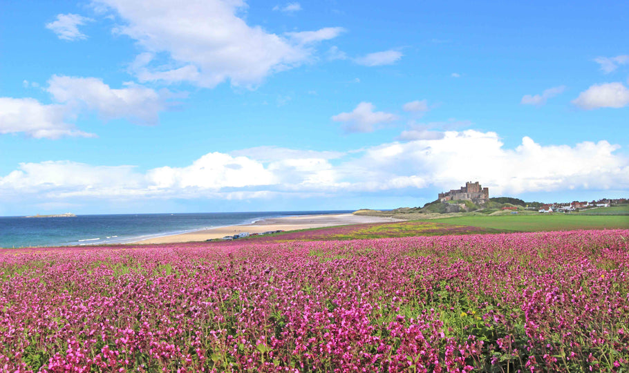 3 Action-Packed Things to do in Northumberland