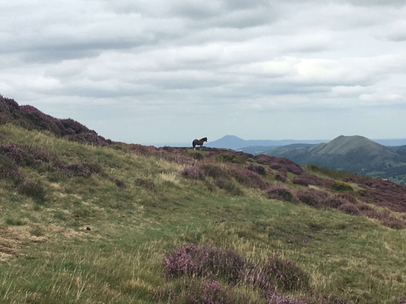 Things to do in the Shropshire Hills