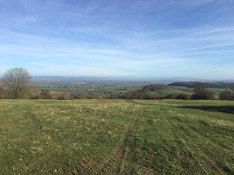 Secret Spots near Leominster
