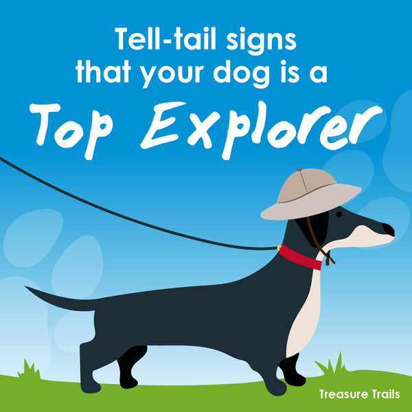 Five tell-tail signs that your dog is a top explorer...