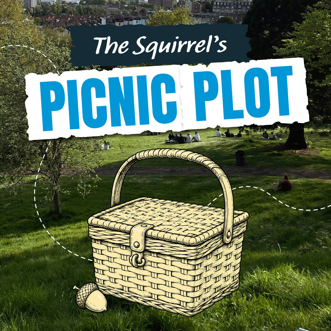 A Parks Picnic Mystery