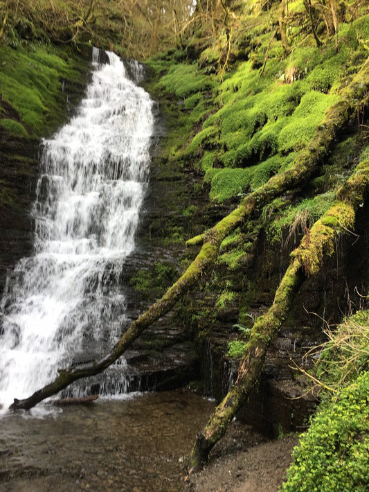 Things To Do in Mid Wales