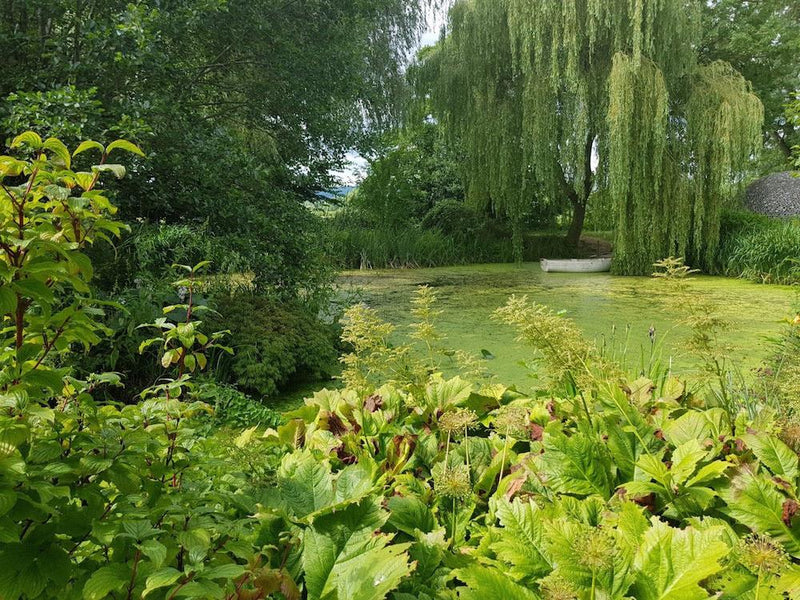 Water Gardens of North Herefordshire
