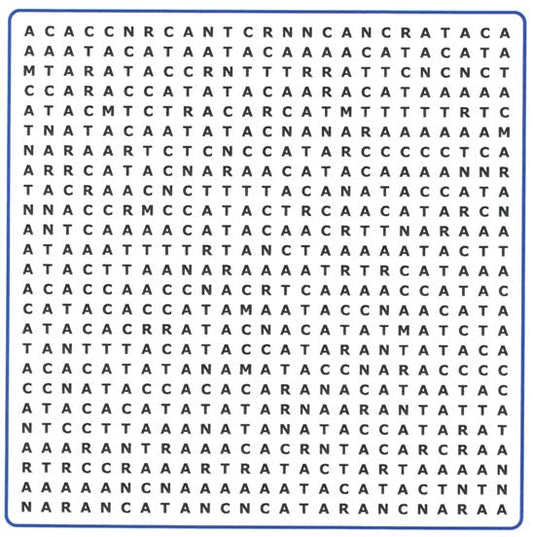 The Ultimate Wordsearch for Car Journeys