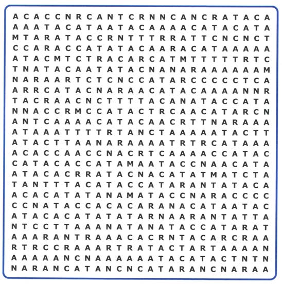 The ultimate wordsearch for car journeys