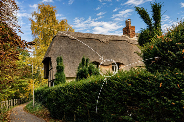 Buntingford - Town & Gardens