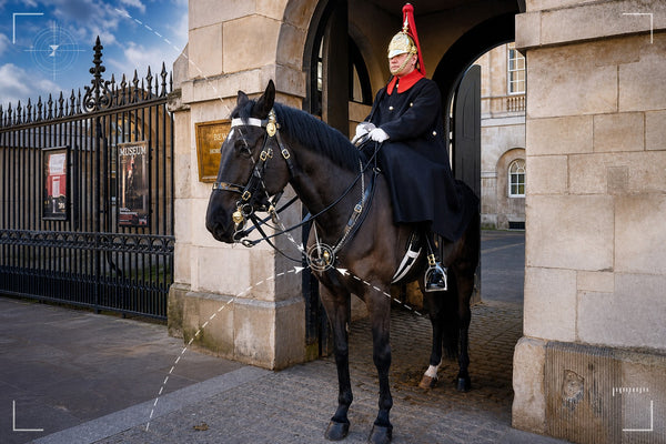 Westminster - Palaces & Gardens