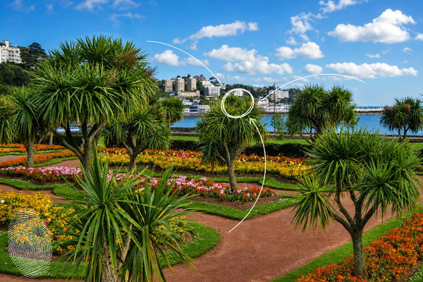 Torquay - Harbour & Corbyn Head