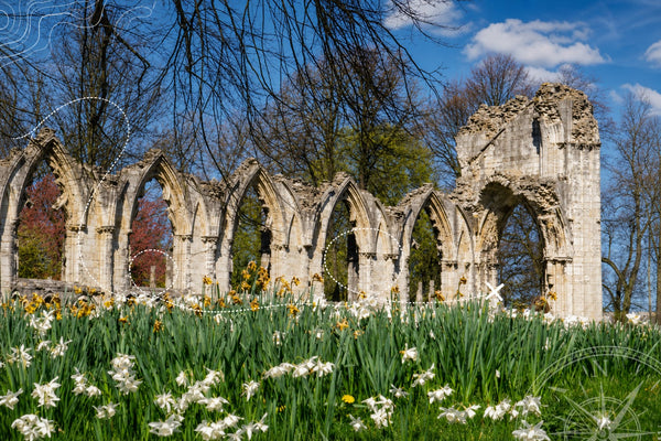 York - Museum, Gardens & Bar