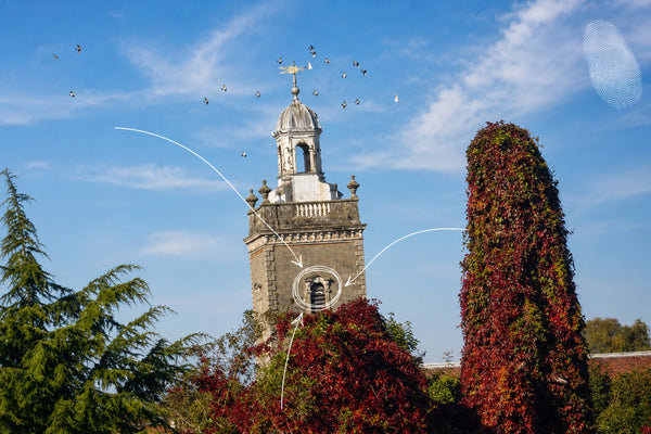 Blandford Forum - Georgian Town & Bridges