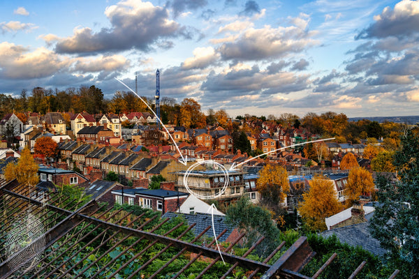 Muswell Hill - Palace, Parkland & Hill