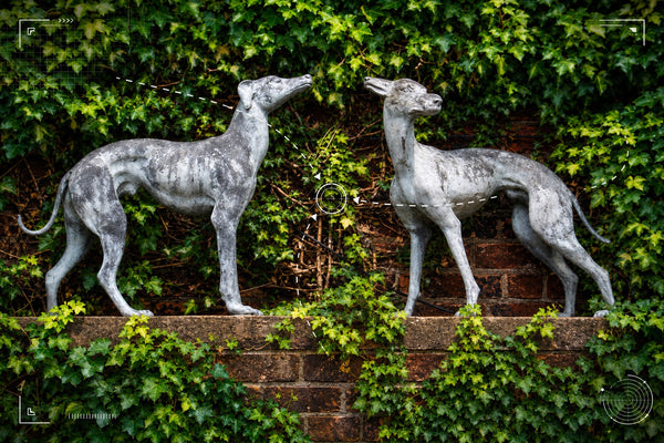 Lutterworth - Market Place & Gardens