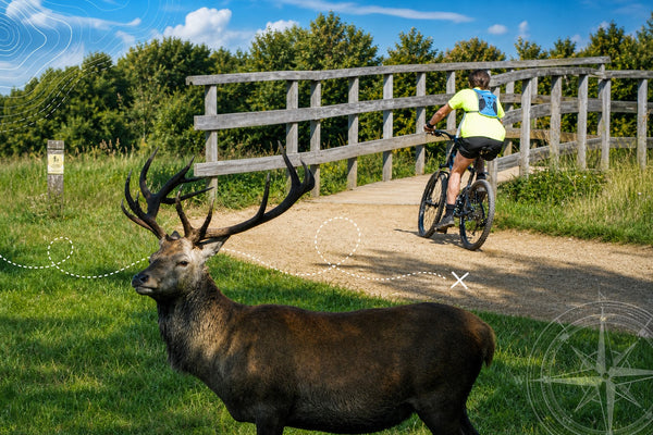 Richmond Park - The Largest Royal Park