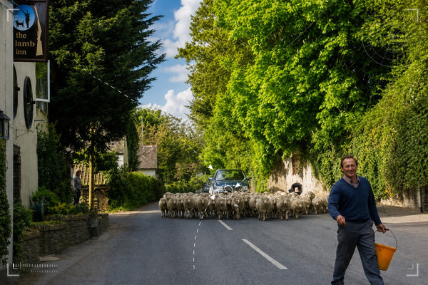 Piddletrenthide - Village & Lanes