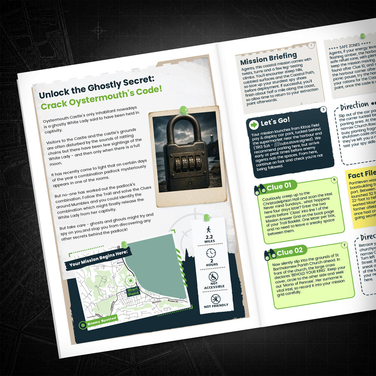 Mumbles - Castle & Coastline Treasure Trail - story page