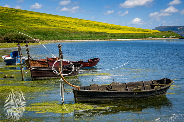 Jurassic Coast - Abbotsbury to the Fleet