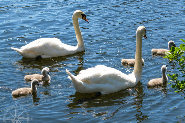 Crawley - Tilgate Park & Garden