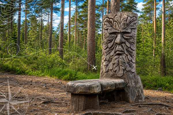 Moors Valley - Country Park & Forest