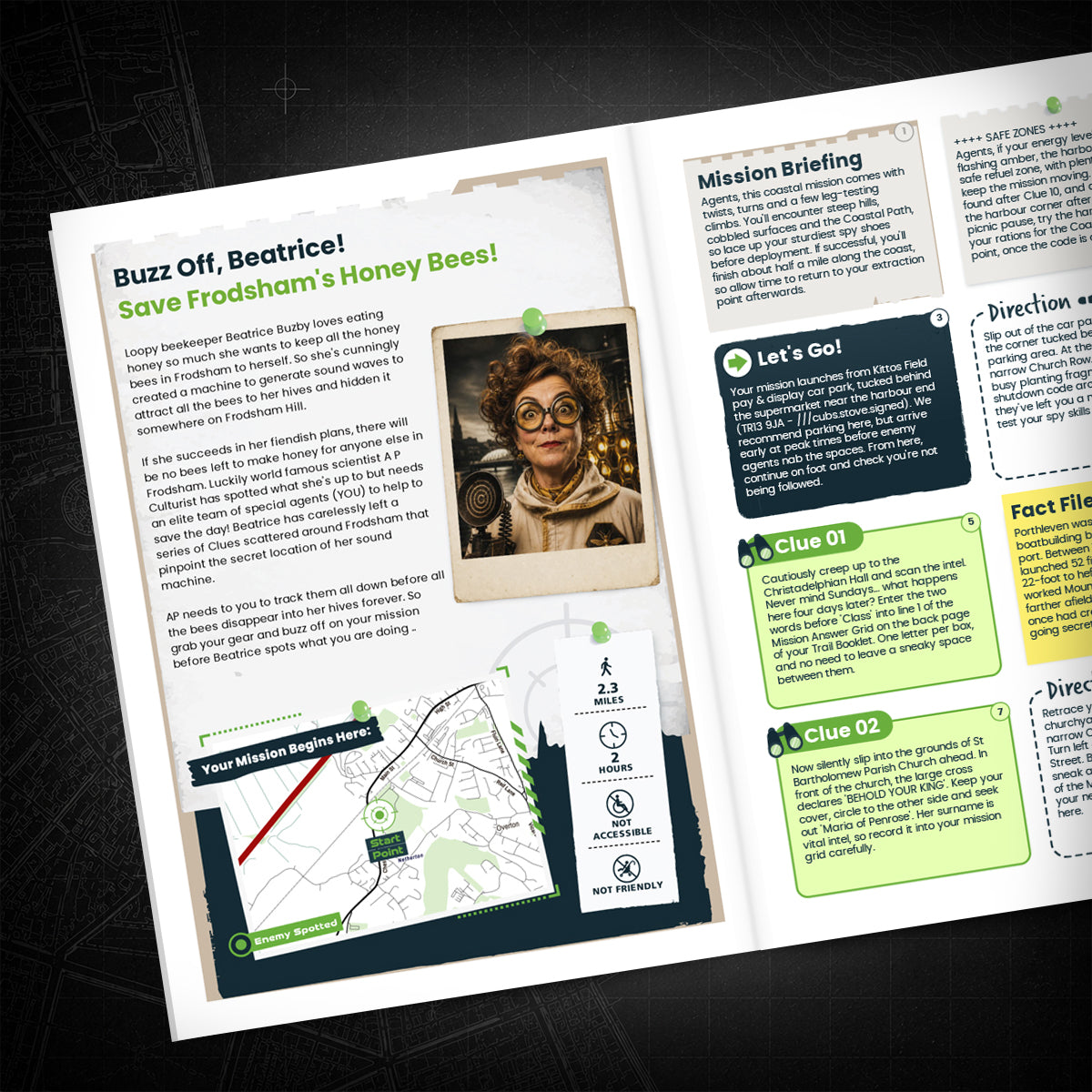 Frodsham - Market Town & Hillside Treasure Trail - story page