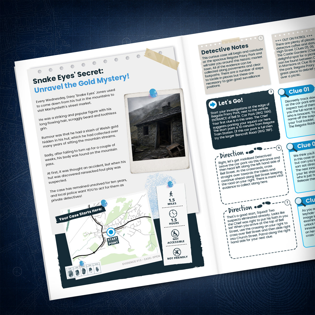 Machynlleth - Ancient Capital Treasure Trail - story page