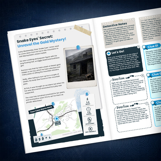 Machynlleth - Ancient Capital Treasure Trail - story page