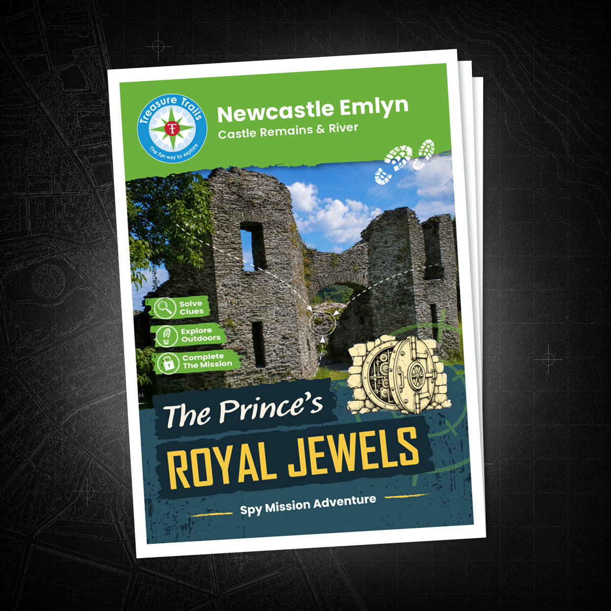 Newcastle Emlyn - Castle Remains & River Treasure Trail - front cover
