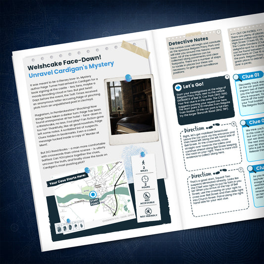 Cardigan - Castle & Riverside Treasure Trail - story page