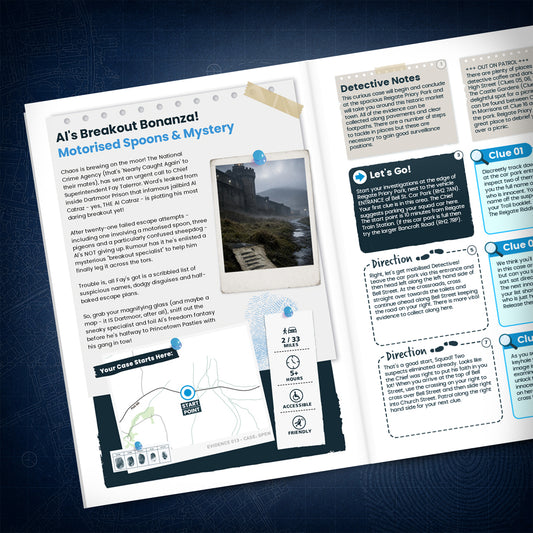 Dartmoor - Ancient Villages Treasure Trail - story page