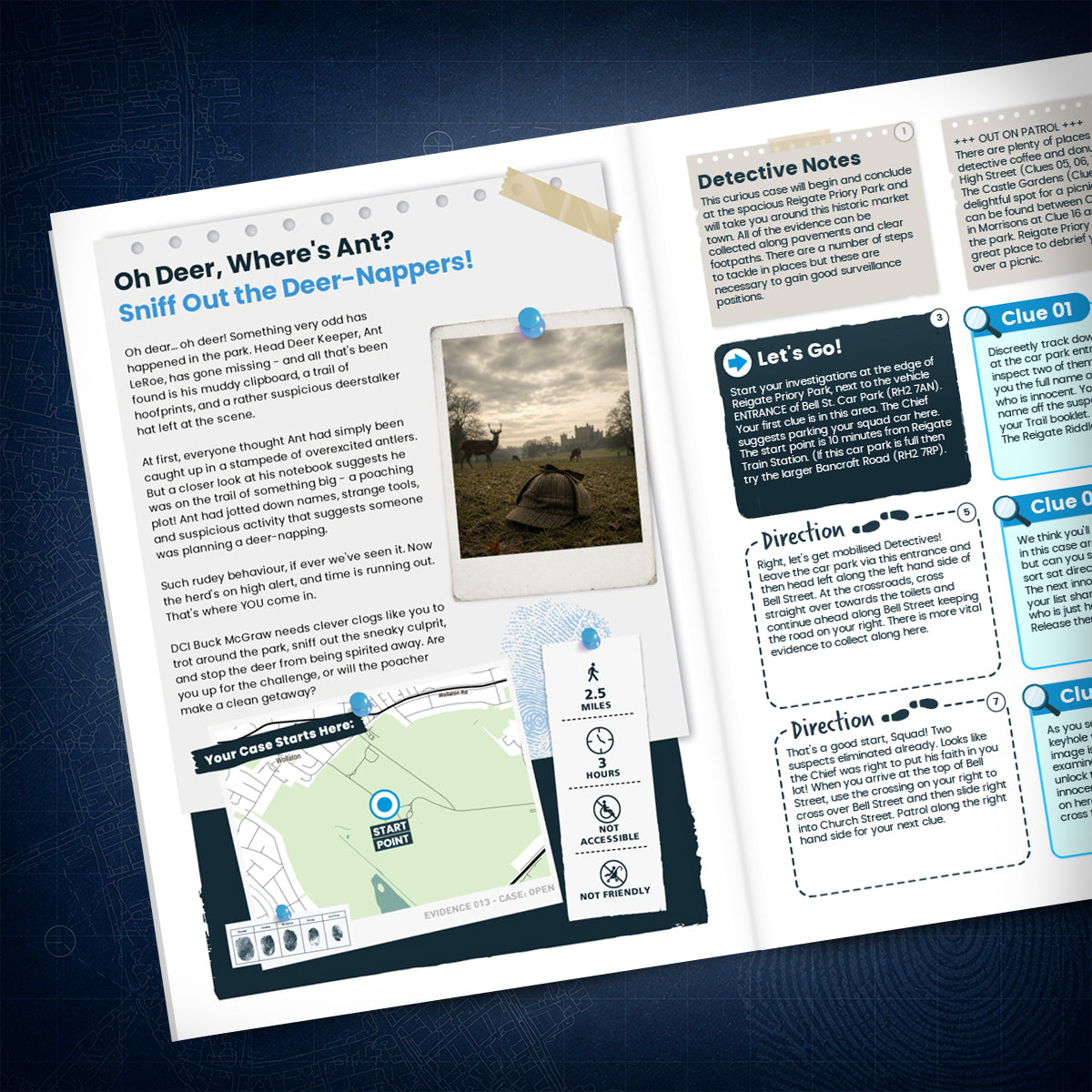 Wollaton Hall - Deer Park & Grounds Treasure Trail - story page
