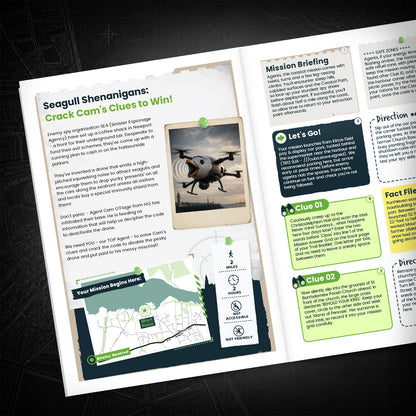 Newport - Harbour, Town & Estuary Treasure Trail - story page