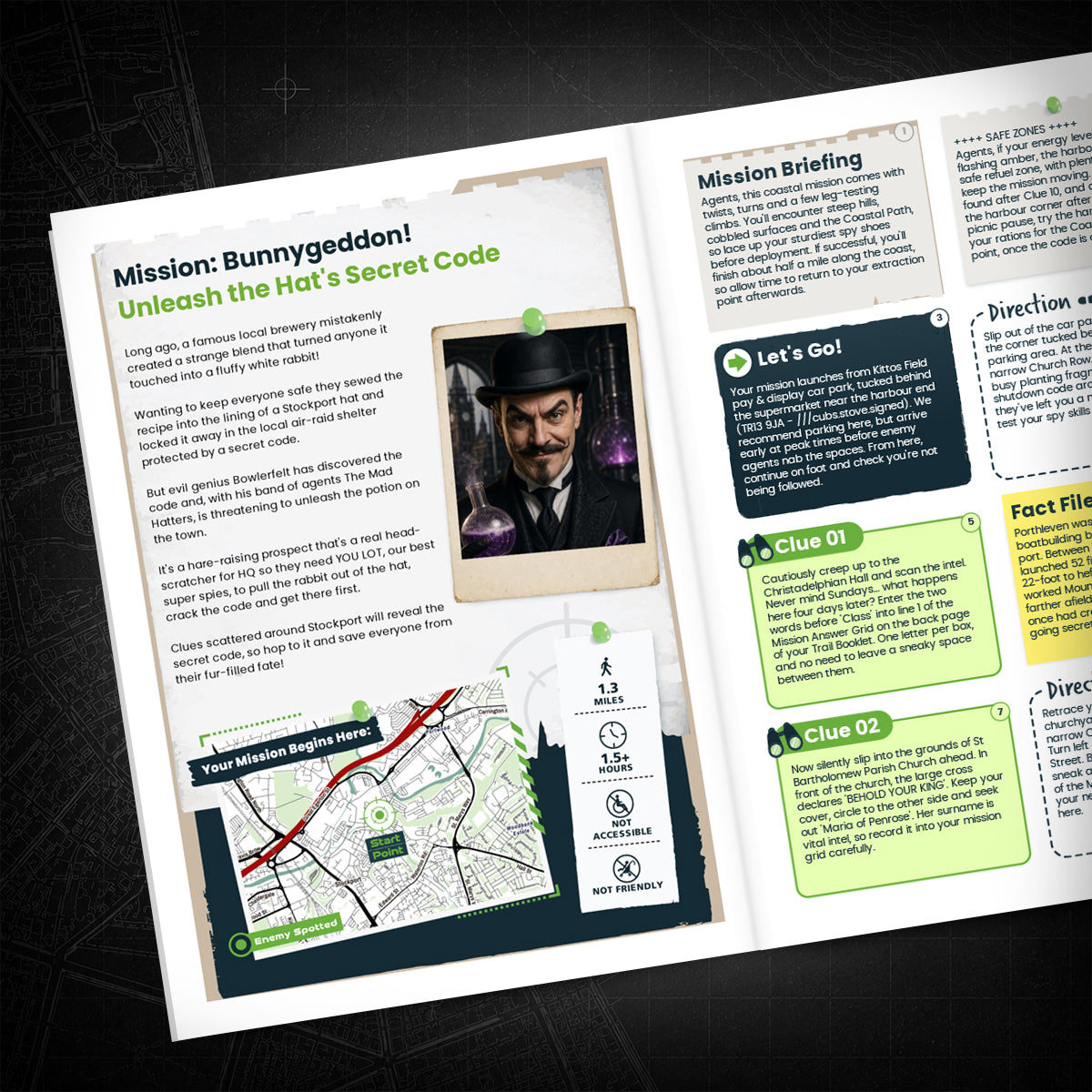 Stockport - Historic Hatting Town Treasure Trail - story page