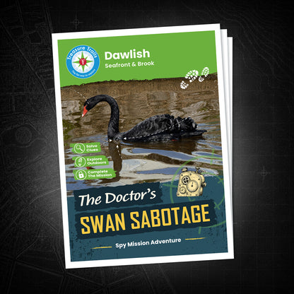 Dawlish - Seafront & Brook Treasure Trail - front cover