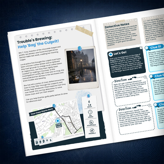 Harrogate - Victorian Spa Town Treasure Trail - story page
