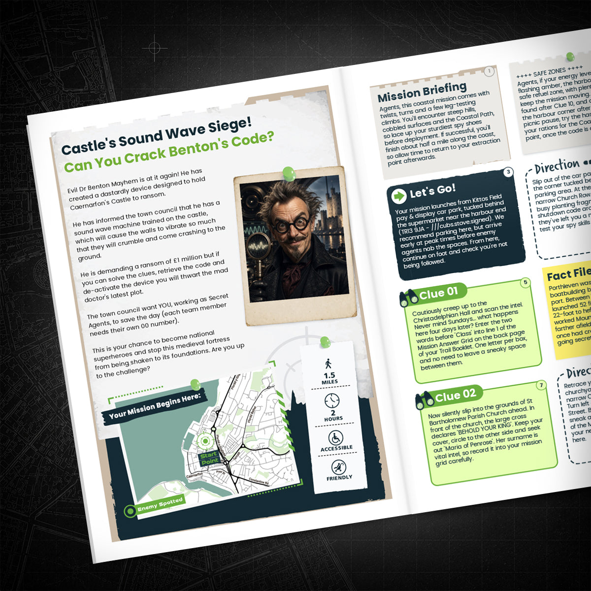 Caernarfon - Castle & Harbour Treasure Trail - story page