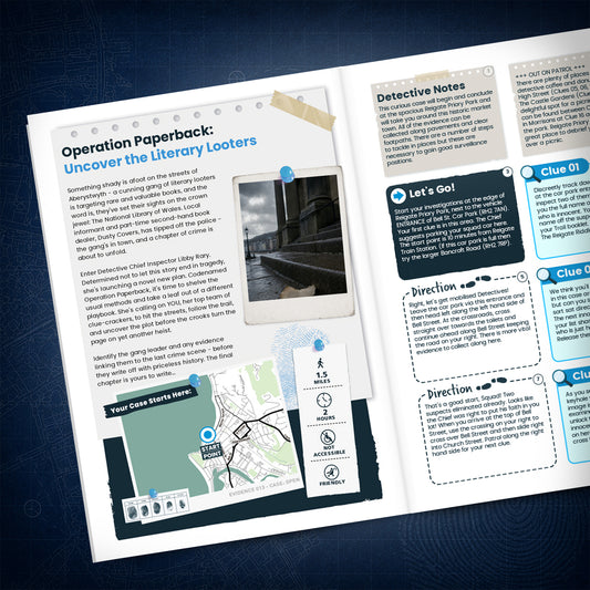 Aberystwyth - Town & Promenade Treasure Trail - story page