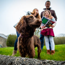 Load image into Gallery viewer, Montrose Treasure Hunt - Follow Clues &amp; Unlock Secrets
