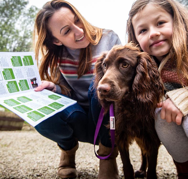 Perranporth Treasure Hunt - Follow Clues & Unlock Secrets